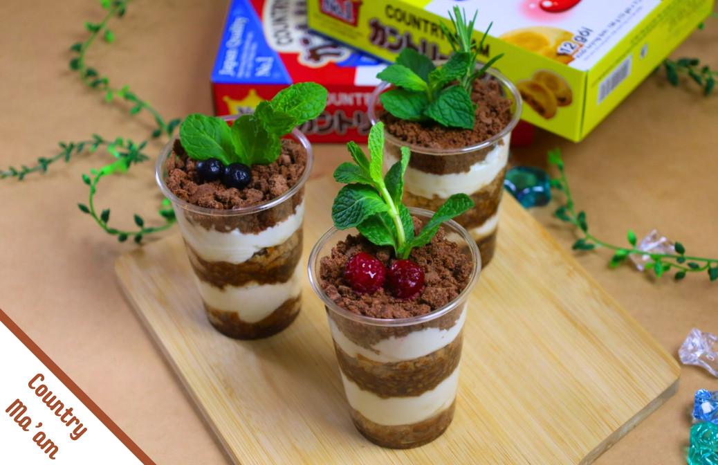 NO.9 "TIRAMISU" PLAN POT MADE FROM COUNTRY MA'AM